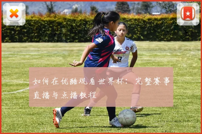 如何在优酷观看世界杯:完整赛事直播与点播教程