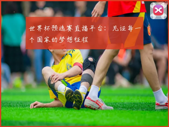世界杯预选赛直播平台：见证每一个国家的梦想征程