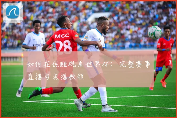 如何在优酷观看世界杯:完整赛事直播与点播教程