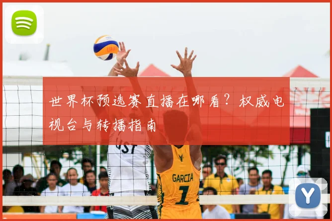 世界杯预选赛直播在哪看？权威电视台与转播指南