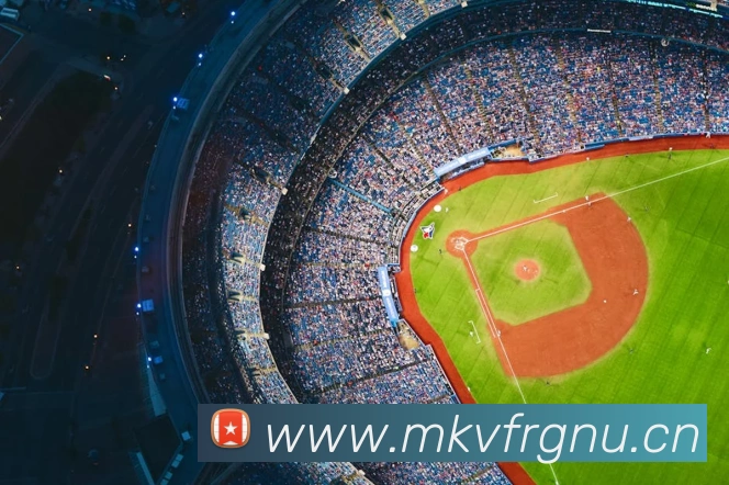 星空网官方网址入口APP 体育赛事宣传图